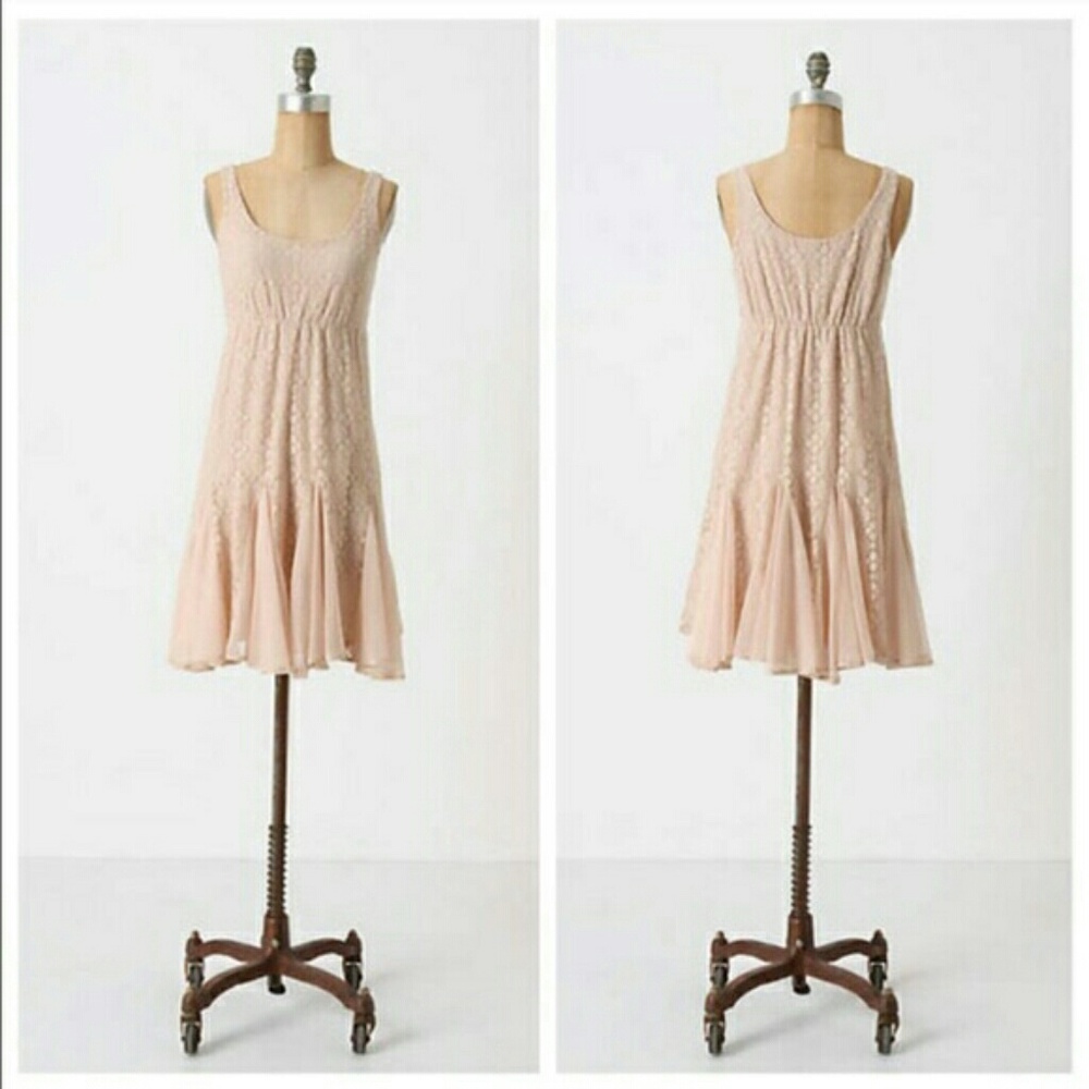 Anthropology Pinkerton Chantilly chamise dress